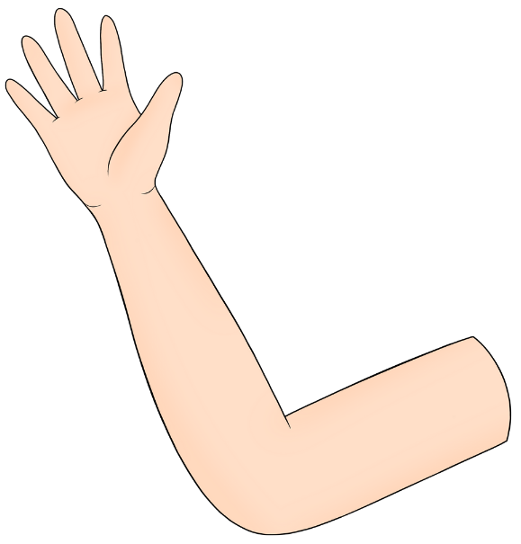 arm