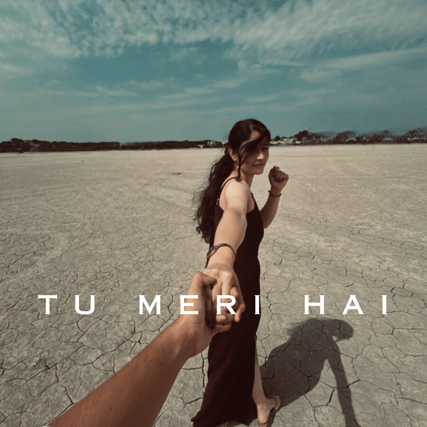 Tu Meri Hai artwork